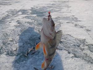 IMG_20140406_095801