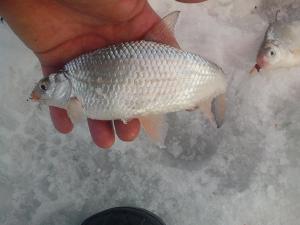 IMG_20140212_144748