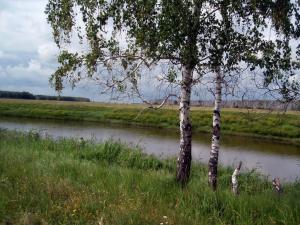 река Оша