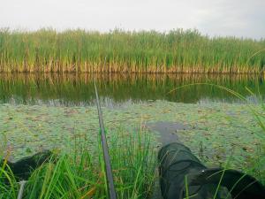 IMG_20140823_081257