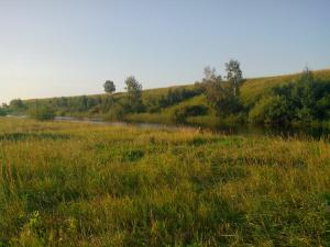 IMG_20150801_064134