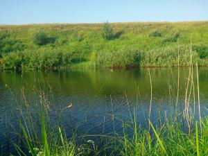 IMG_20150801_072548