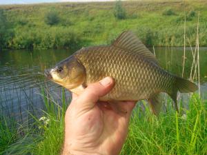 IMG_20150801_090207