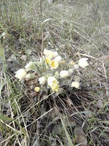 IMG_20160429_101952