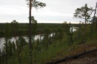 Аватара пользователя