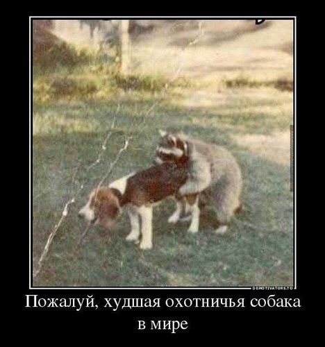 getImage.jpg