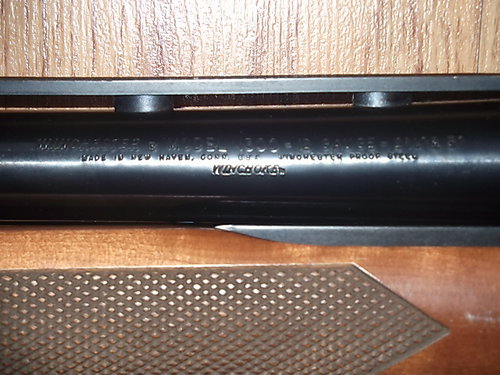 DSCF0535.JPG