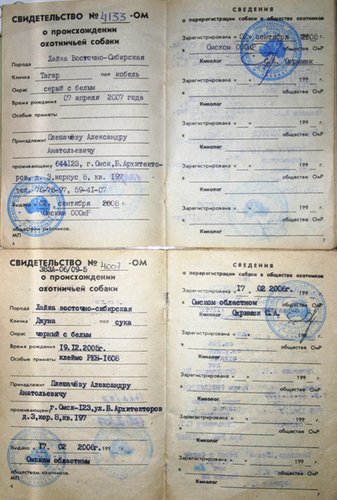 ред 1.jpg