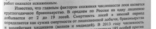 2013 год.jpg