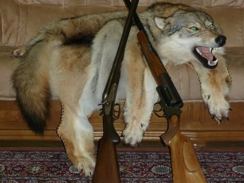 37.jpg