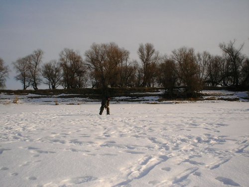 DSC01441.JPG
