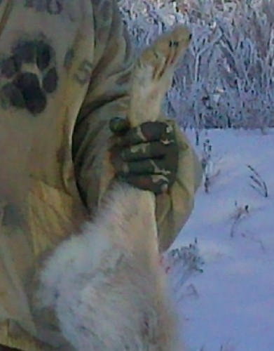 перчатки.jpg