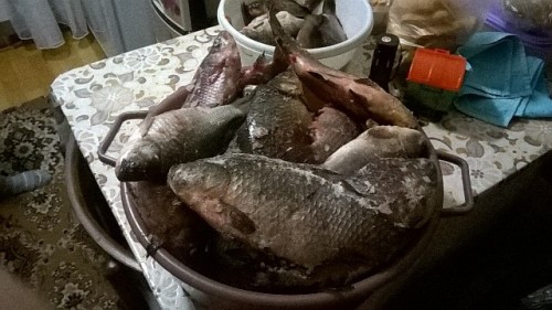 IMG-20171210-WA0001.jpg