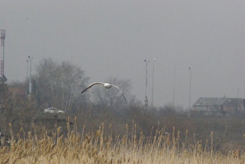 DSC05453.JPG