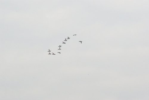 DSC05523.JPG