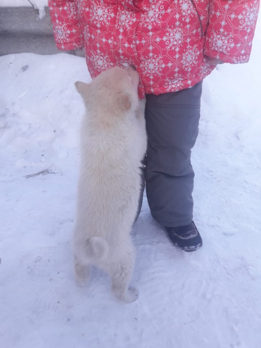 IMG-20190126-WA0096.jpg