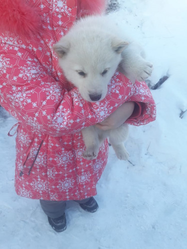 IMG-20190126-WA0097.jpg