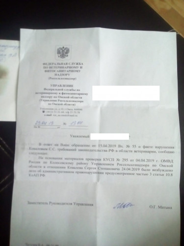IMG-20190506-WA0001.jpg