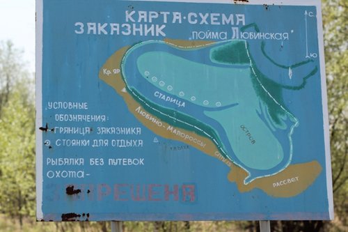 IMG_2713.jpg