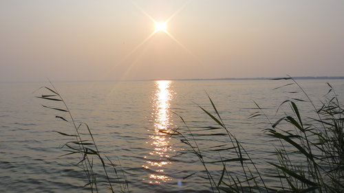 DSC09163.JPG