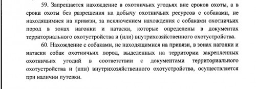 собаки.jpg