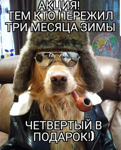 IMG-20210312-WA0021.jpg
