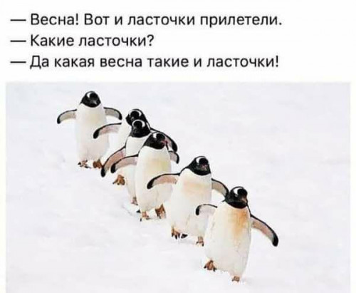 IMG-20210329-WA0007.jpg