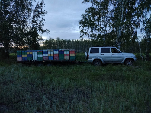 IMG20230722220717_ZXqagHjB3V.jpeg