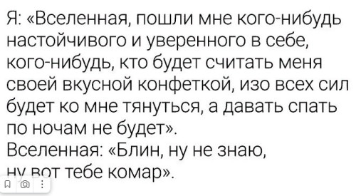 комар.jpg