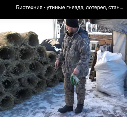 гнёзда.jpg