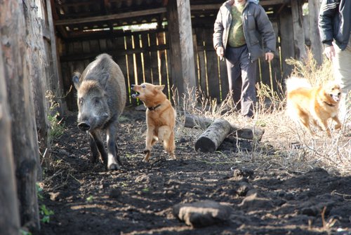 DSC_5094.JPG