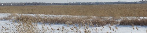 DSC09463.JPG