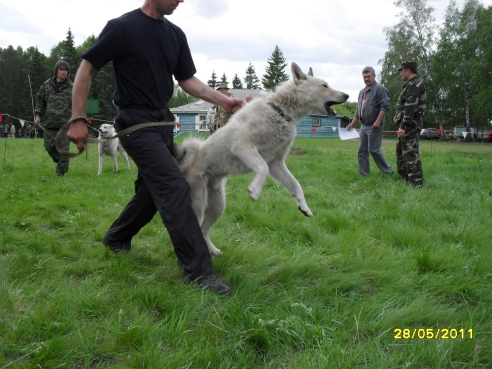 SDC11018.JPG