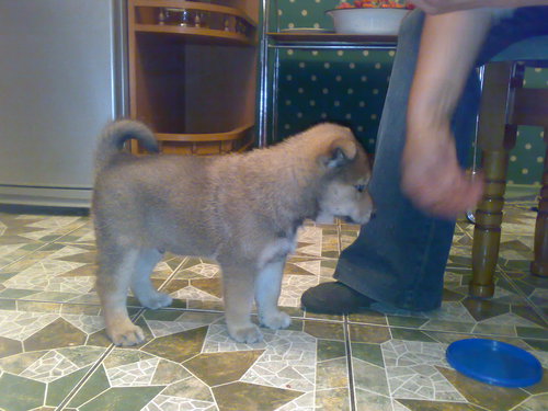 2011 008.jpg