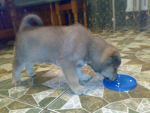 2011 010.jpg
