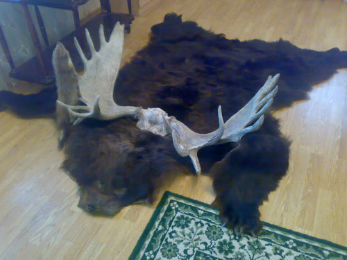 2011 004.jpg